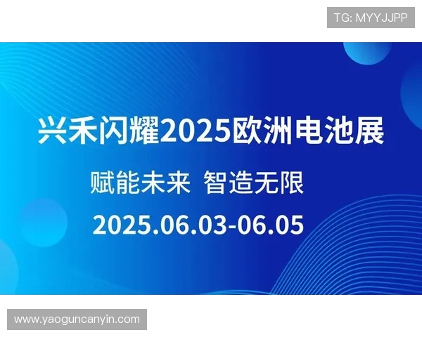 亚星yaxin222手机登录安全指南保障账号信息安全的实用技巧
